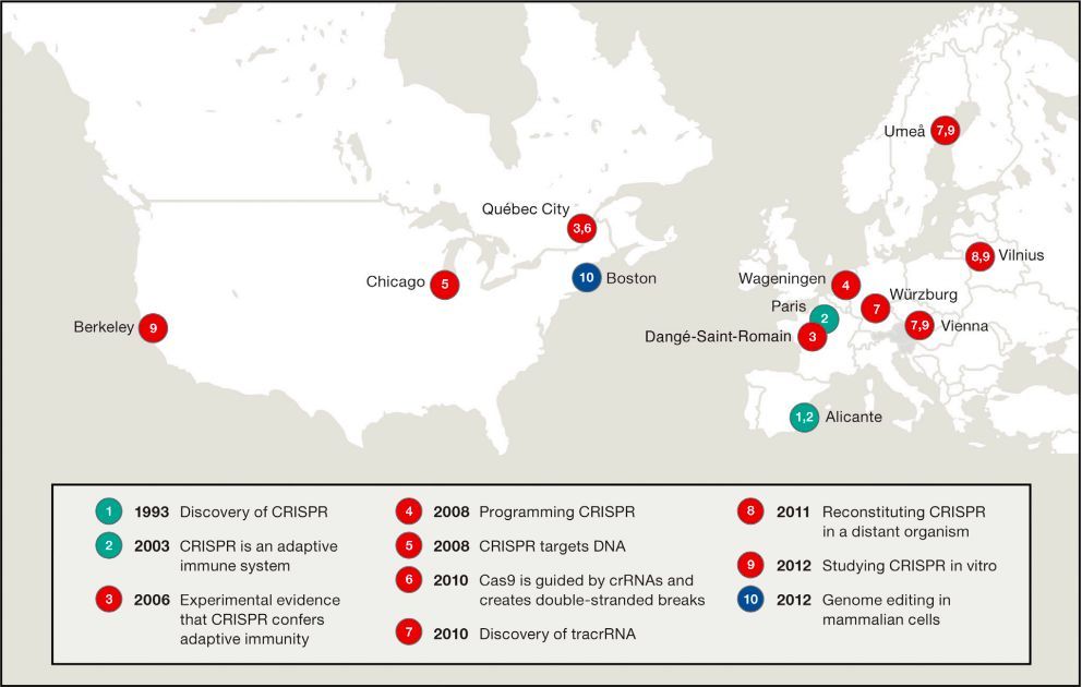 crispr|CRISPR背后，与诺奖失之交臂的华人科学家