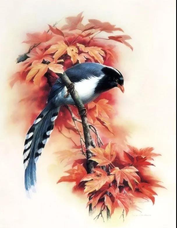 只需要一点点勇气,哪有什么打败不了的事——德美生态泥分享