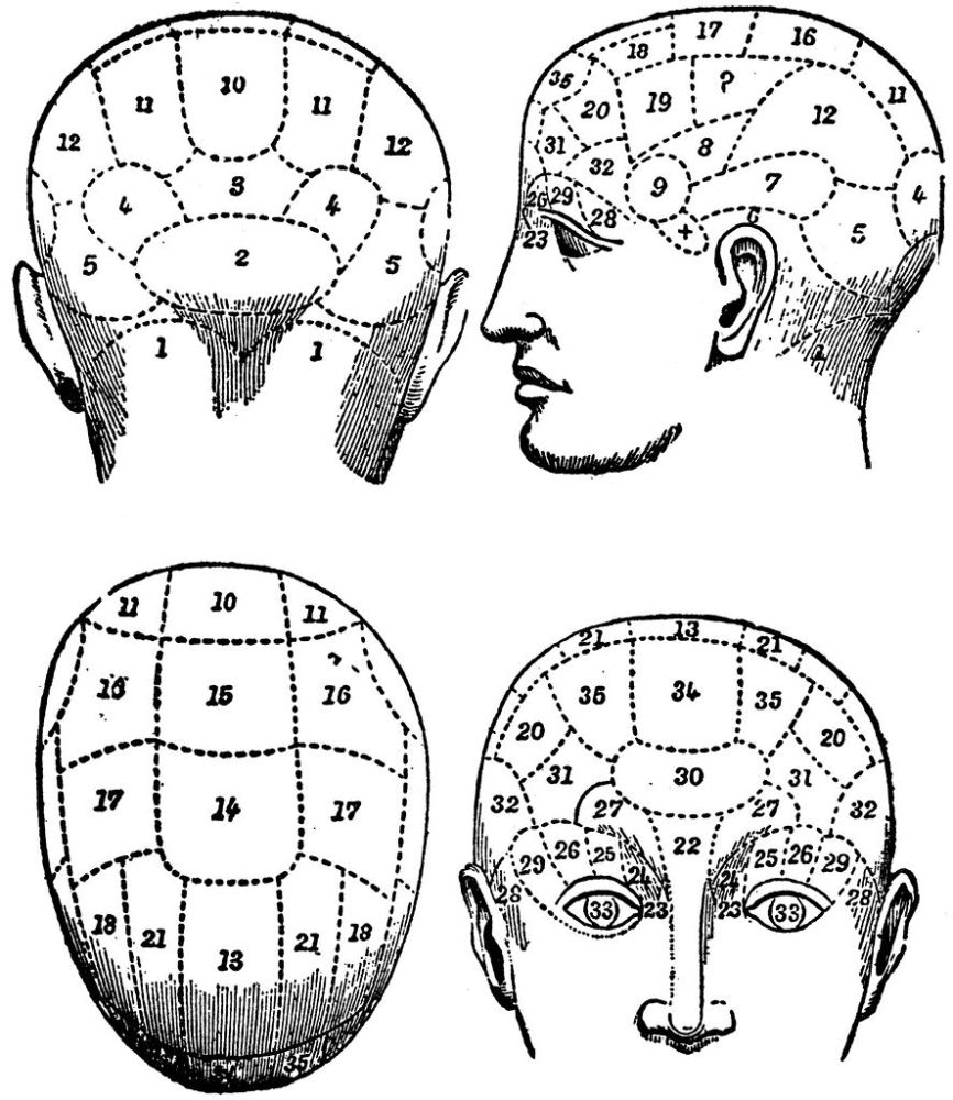 该学说认为,大脑的机能可以通过颅骨的外部特征反映出来,从而推断出