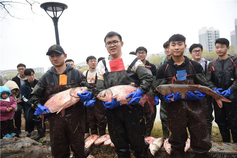 武汉科技大学沁湖鱼宴开席 师生共享鱼宴大餐(图2)