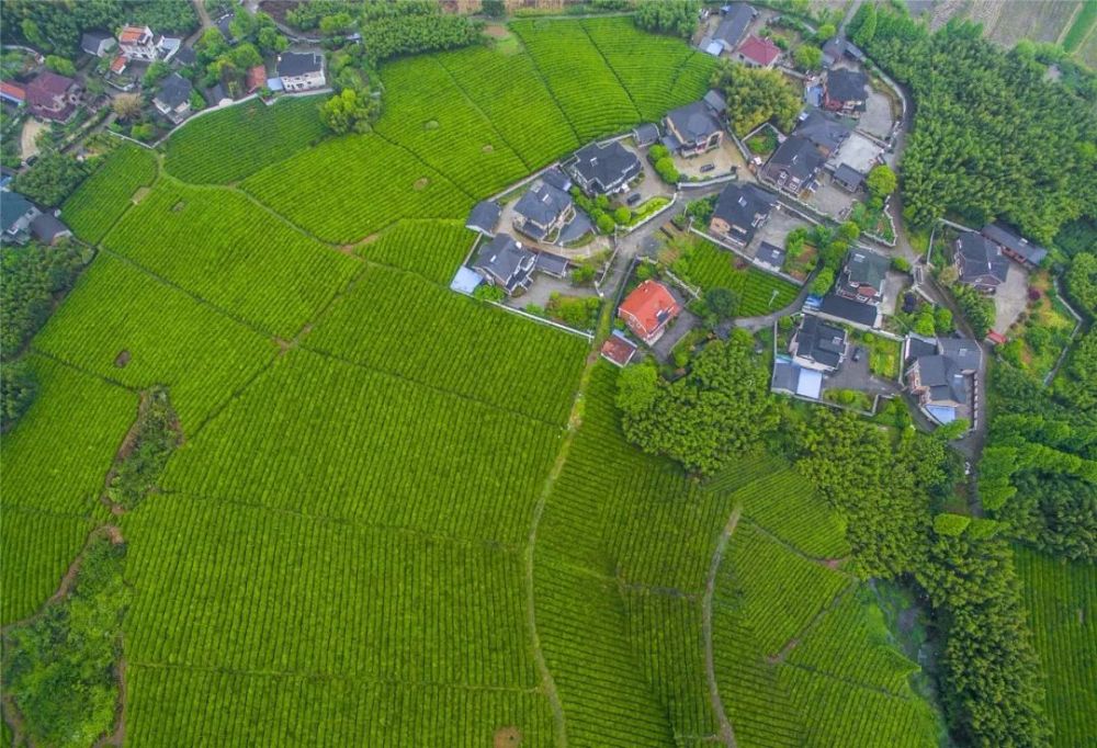 餘杭區徑山鎮小古城村