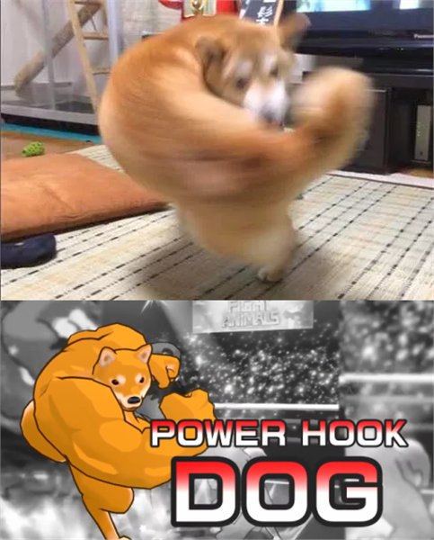 谁还记得那只漫画肌肉狗竟真有人把它做成游戏画面太魔性