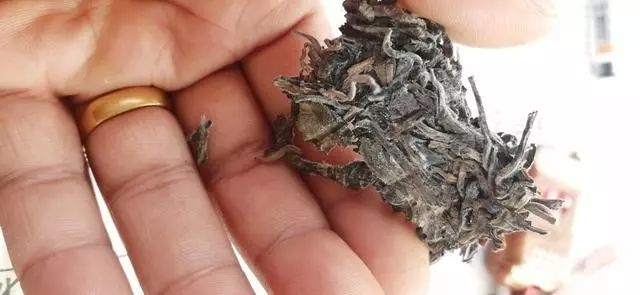 实际上,他的紫芽普洱茶并非发霉,而是长白霜了.