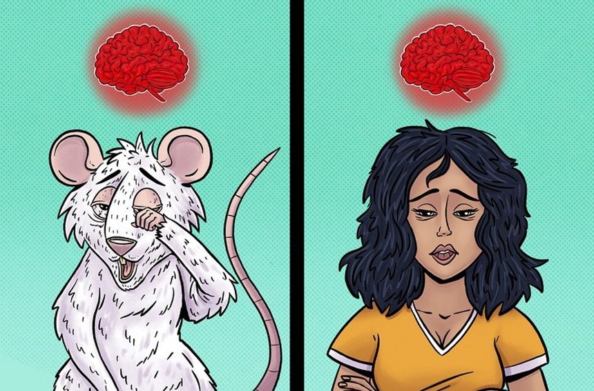 一项研究表明:睡眠不足会导致我们的大脑"吞噬"自己