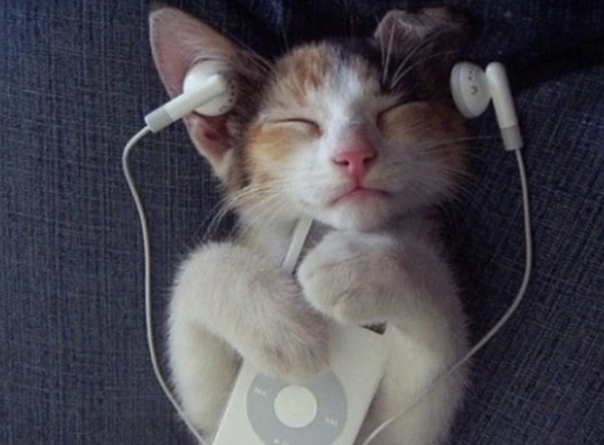 00后长期"戴耳机"听歌睡觉,大脑有啥变化?学生党:别吓我!