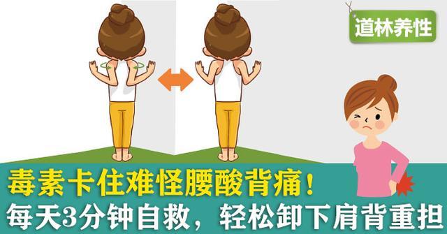毒素卡住难怪腰酸背痛 每天3分钟自救 轻松卸下肩背重担 筋膜 肌肉 吉田佳代 肩膀