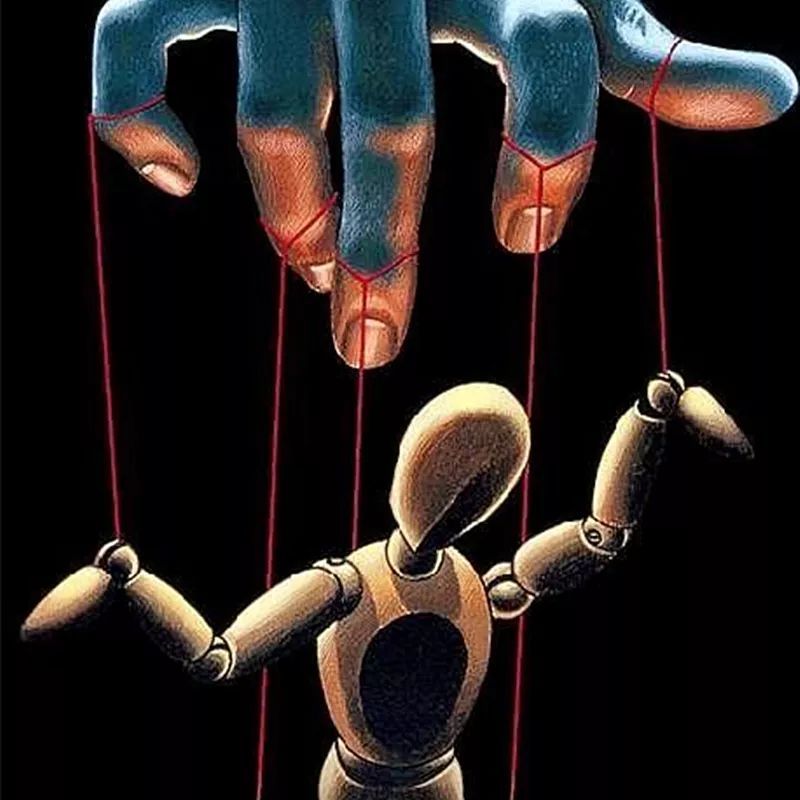 我们都想自由自在,却又被生活束缚!