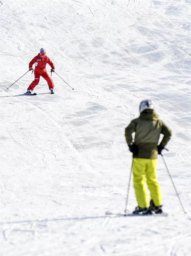 固原人有福了 家门口就可享受国际标准雪道 腾讯新闻