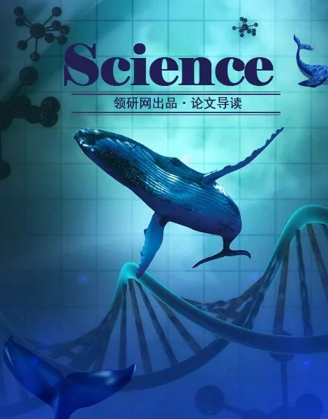 science一周论文导读