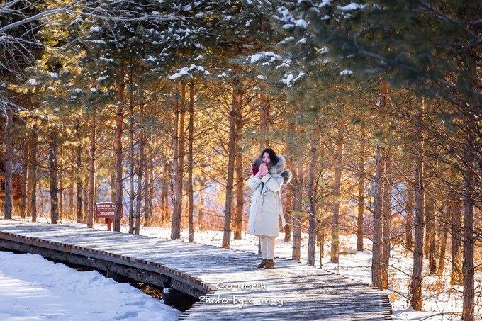 一月去哈尔滨+漠河旅游,有什么好推荐?学生党