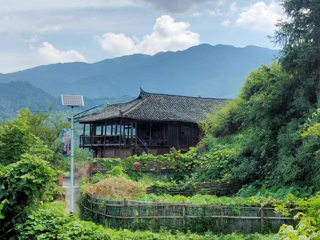 外出村民回乡养鸡增收 雪峰村文旅扶贫成果凸显