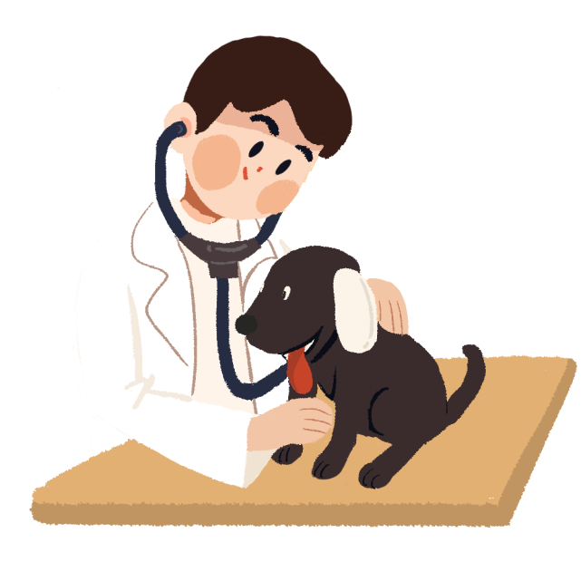 畜牧兽医人员,评职称要满足哪些条件|国药动保