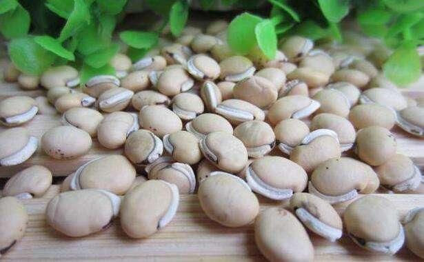 要大一些,它可以煮粥,还能用来做菜,营养价值特别高,保健功效也很出色