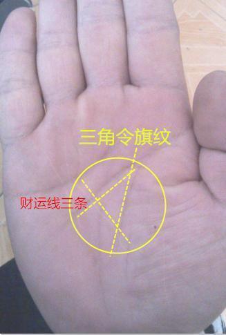 三角凤凰在手中,富贵无边,能旺家运,大富大贵的命