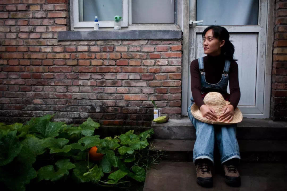 女博士京郊种菜坚持不打农药村民傻偷偷用点药又没人知道