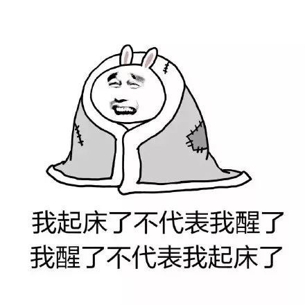 新的一年 我要好好学习 天天向上 然后第二天睡到大中午 还不愿意起床