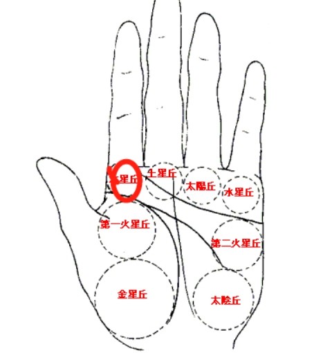 三丘有这种纹路 属于发大财的手相 手相 手掌 财运 横财 运势