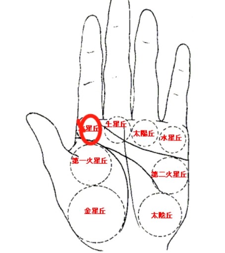 三丘有这种纹路 属于发大财的手相 手相 手掌 财运 横财 运势