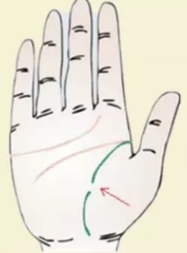 手相生命线至手腕人字 手相生命线长寿命一定长 生命线断了代表什么 上海轩冶木业有限公司