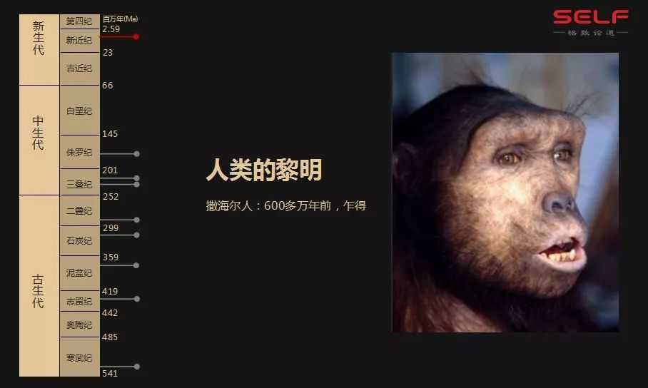 新研究发现直立人最后一站人类如何从一条鱼演化成智人