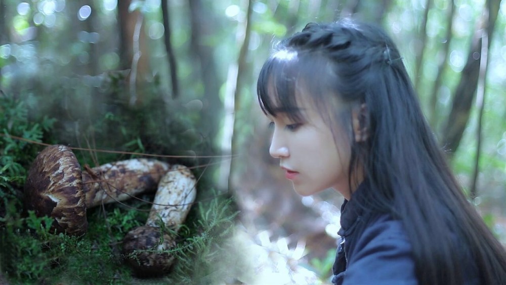 这些画面暴露李子柒故乡位置,原来是在绵阳平武大山