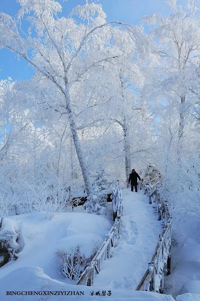 这一刻雪沉静得让人忘记了世间的纷繁