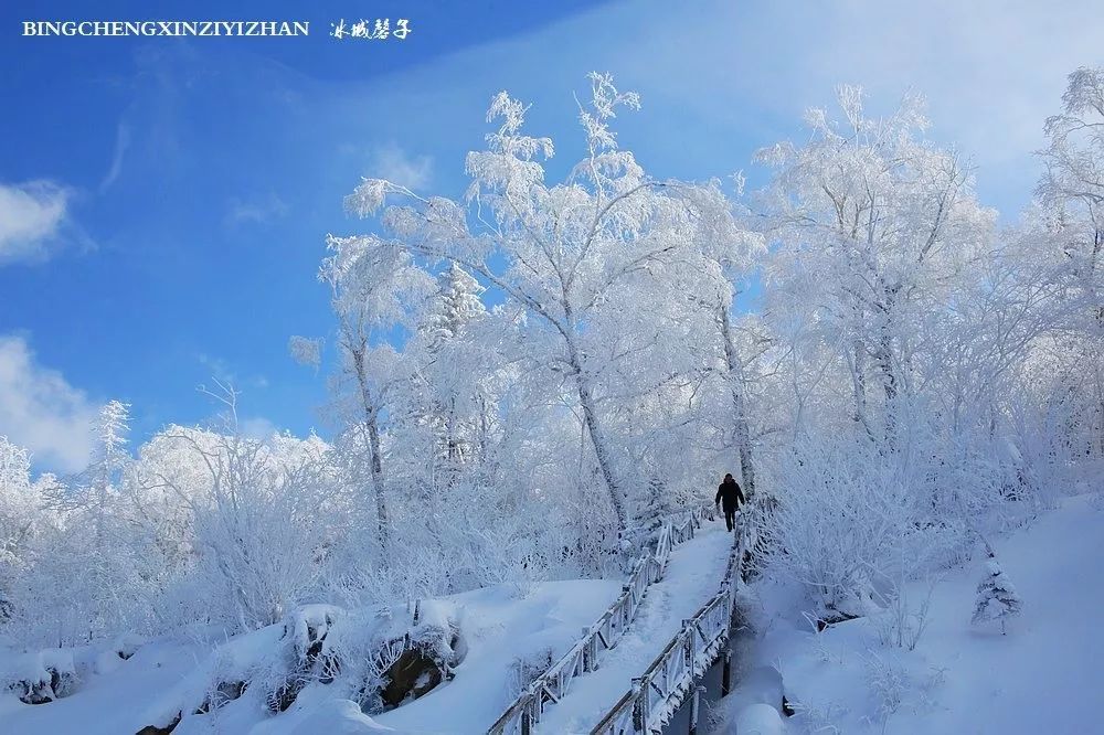 这一刻雪沉静得让人忘记了世间的纷繁