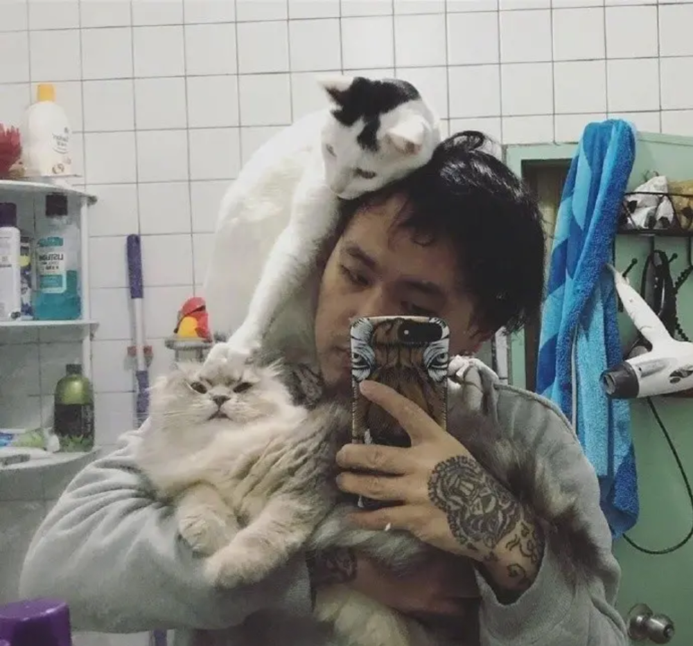 铲屎官抱着两只猫咪拍照 却不小心窥探出多年来的秘密 这猫真损 腾讯新闻
