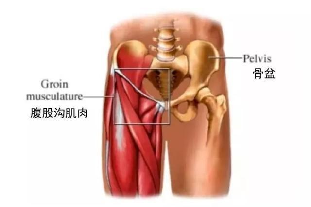 6个瑜伽体式助你打开腹股沟,远离妇科疾病-菲特云