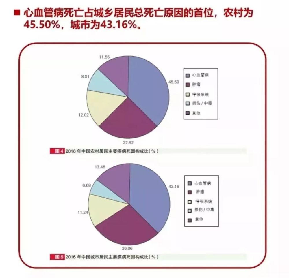 芯爱2号:专注心脑血管疾病保障