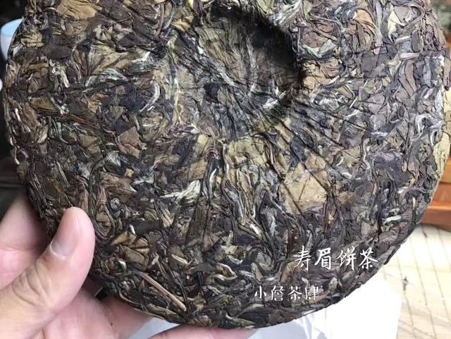 什么是白茶？