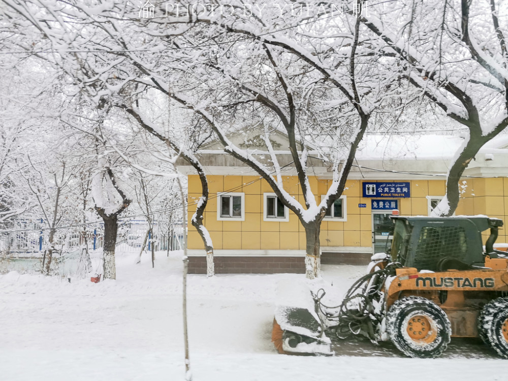 圣诞节的乌鲁木齐迎来了19年的最后一场大雪 美若童话世界 腾讯新闻