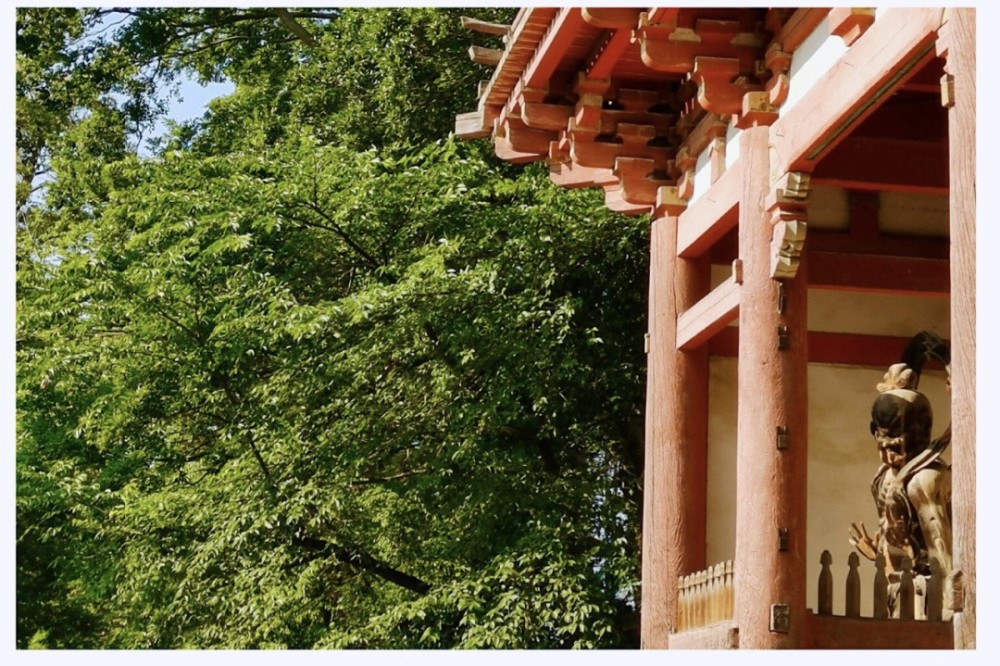 京都小众旅行地-醍醐寺