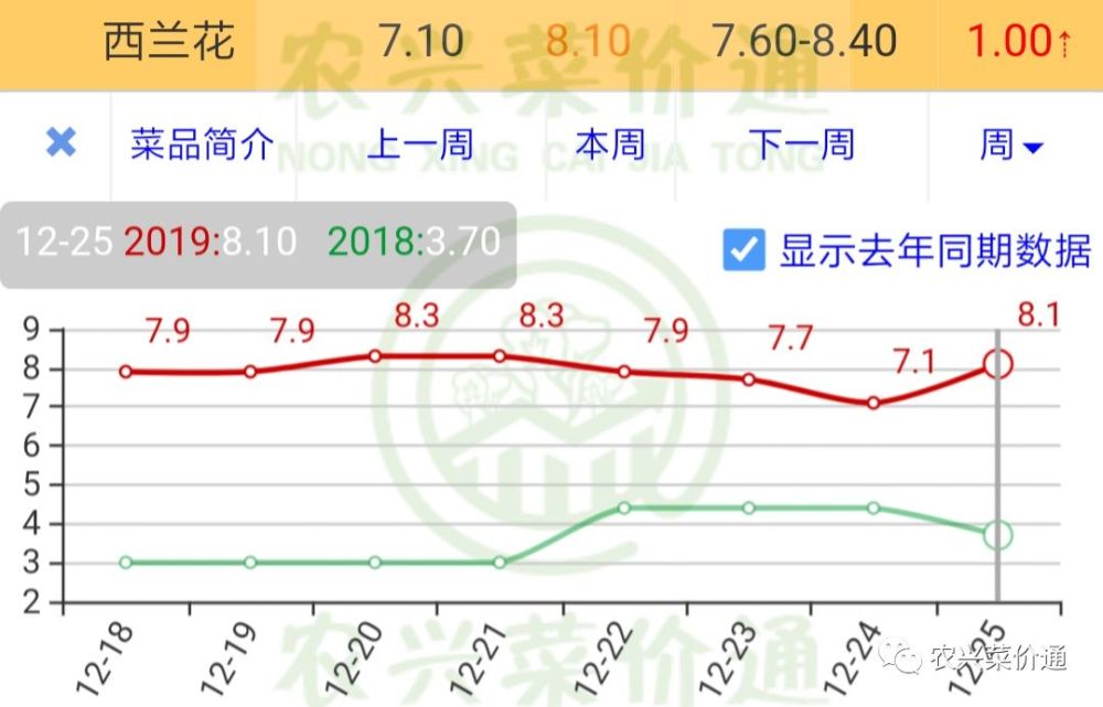 兰花价格 市场行情图片