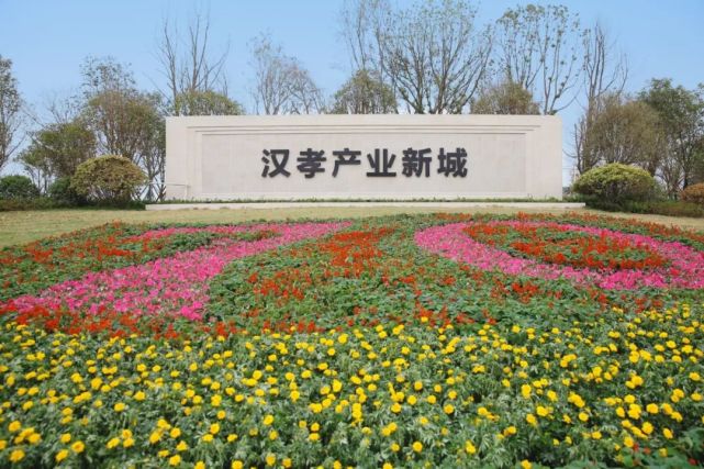 今天的c位留给汉孝产业新城!