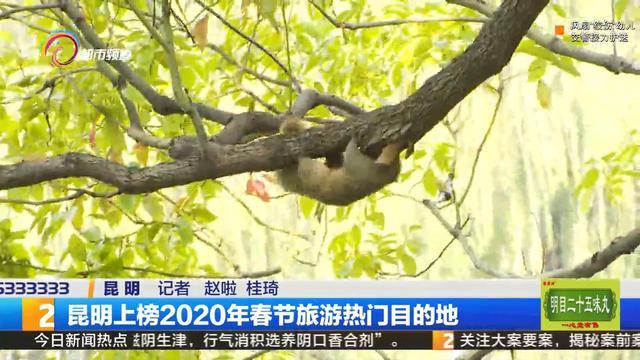 2020昆明市景点排名_关注最高处罚30万元!昆明发布2020年12月旅游红黑榜