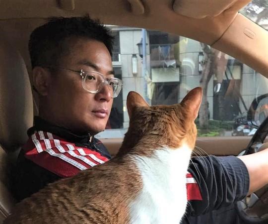 江宏恩爱猫santa5年前路边濒死 身体发臭遇好心司机救援
