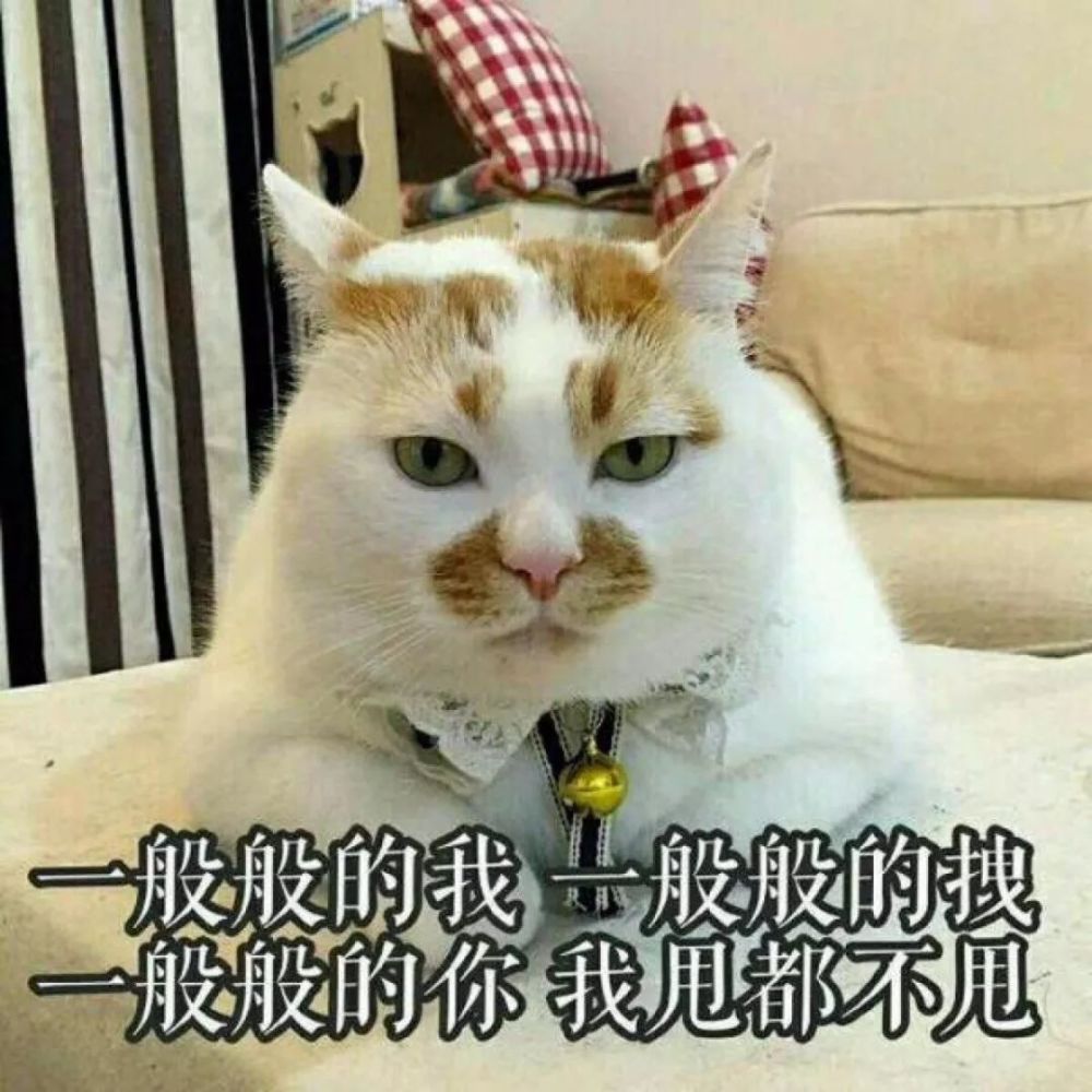 卖房卖到看守所,中介这波骚操作,你不得不服