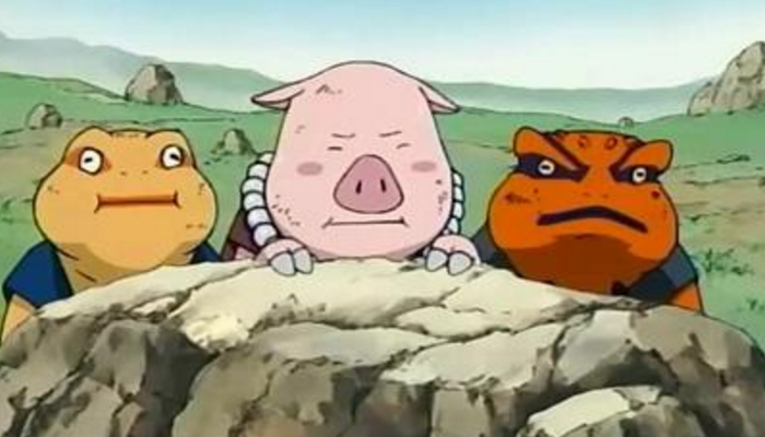 纲手的通灵兽(纲手的通灵兽叫什么拼音)