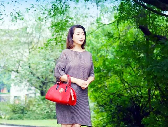 澳门人家口碑收视双丰收走红的背后是触及心灵的温暖