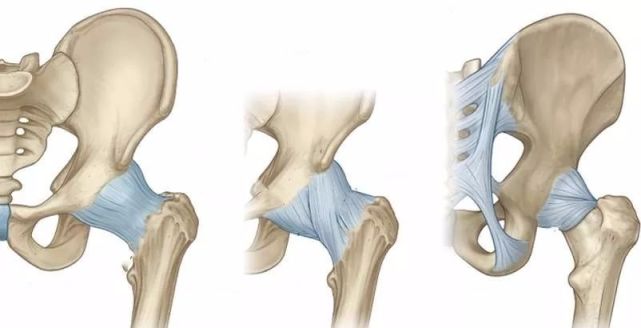 想要加强髋部稳定及灵活性,开髋 收髋是必不可少的|髋部|开髋|髋关节