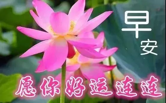 12月26日漂亮早安祝福问候语动态表情图片 暖心早晨好问候祝福短信 腾讯新闻