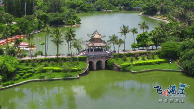 神奇的湛江,獨特的驚喜,你可不要錯過咯|國家地質公園|湛江八景|湛江