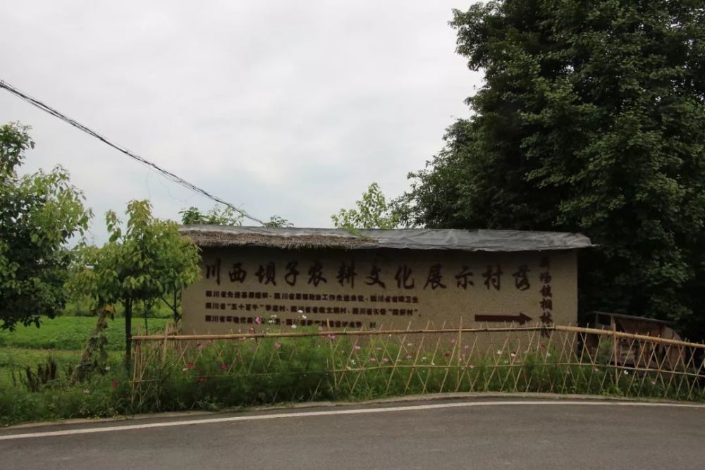 桐林村的居住环境发生了翻天覆地的变化.