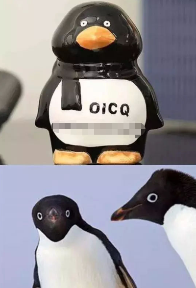 用qq企鹅拖地是什么体验,拖完地再洗只企鹅难道我就会快乐吗?