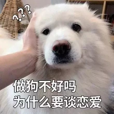 表情包來我給你一巴掌