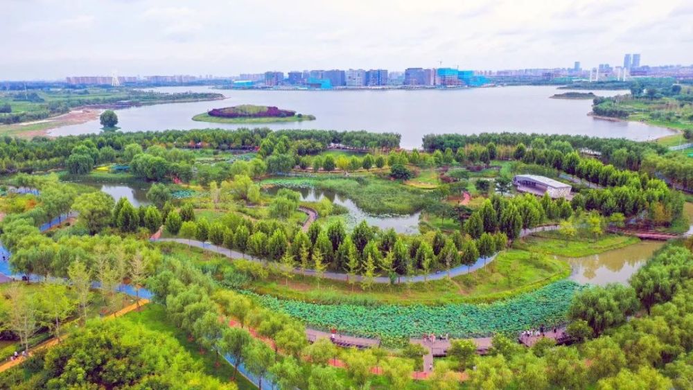 商丘竟有5个国家级湿地公园!快看在哪