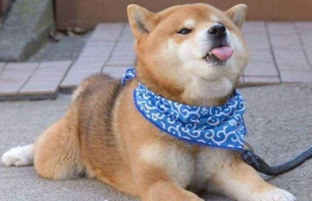 腾讯内容开放平台