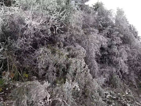 张天权供图在长宁县双河镇龙背岭,一场突如其来的大雪让大家彻底放飞