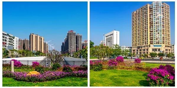 冬日鹅城,你为什么那么美!